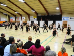 Gymnastikopvisning 2018 (11) Gl. Elevhold Brejninggaard Efterskole